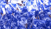 Football Soccer GIF by FC Schalke 04