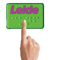 leidecampina vereadora 40444 eleicoes2024 leide Sticker