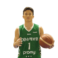 dbins 원주db dbpromy Sticker