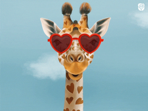 Valentines Day Love GIF by AmericanGreetings.com