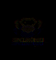 spacemonki techno spacemonki GIF