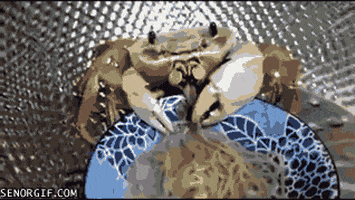 noodles making GIF by Cheezburger