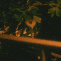 Ateez Choi Jongho GIF