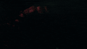 FarCryGame diego anton far cry 6 farcry GIF