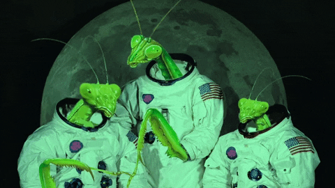 music video animation GIF by Blossöm Records