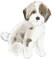 Illustration Puppy Sticker