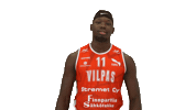Sport Basketball Sticker by Basket_fi