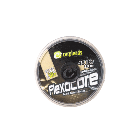 Carpleads giphyupload endgame carp carpfishing Sticker