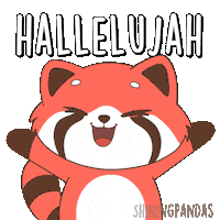 Red Panda Yes Sticker