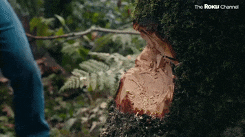 Travis Fimmel Lumberjack GIF by The Roku Channel