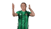 Womens Team Dancing Sticker by Northern Ireland