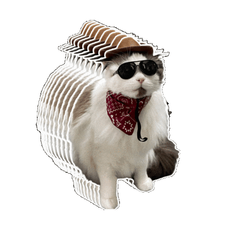 Ragdoll Cat Sticker by Rega Marketing