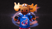 make some noise marty moose GIF by Newcastle Northstars