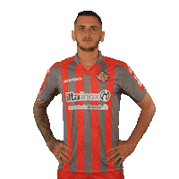 Serie B Football Sticker by Pro Cremona