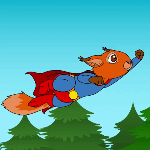Squirrel Flying