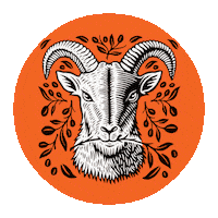 Coffeeliquor Sticker by Jumping Goat Liquor