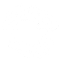 Graffiti Snowboarding Sticker by Elevated Locals