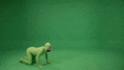 Greg Fundo Verde GIF by Porta Dos Fundos