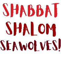 Happy Hanukkah Sticker by Stony Brook Hillel