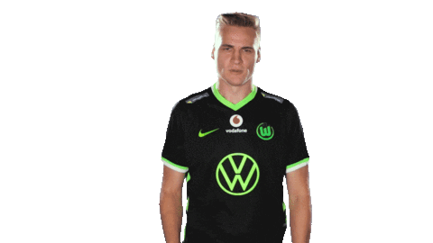 E Sports Sport Sticker by VfL Wolfsburg