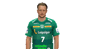 Handball Leipzig Sticker by SCDHFK