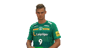 Handball Leipzig Sticker by SCDHFK
