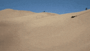sand dude fail GIF