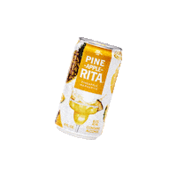 summer pineapple Sticker by RITAS