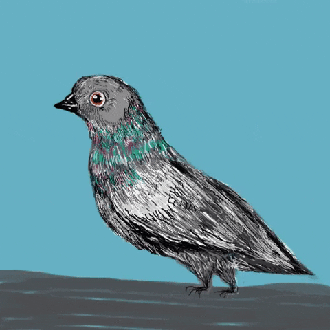 _rabimmel_ dance excited bird superhero GIF