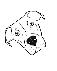 byronandco dogaccessories dogbandanas byronandco byronandcobandanas Sticker