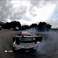 Donut Drift GIF by FIA World Rally Championship
