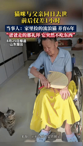 yj_jane giphyupload GIF