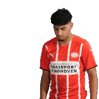 Football Celebrate Sticker by PSV