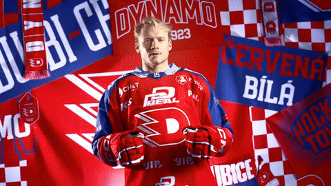 Hockeytown GIF by HC Dynamo Pardubice