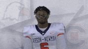 Carson Newman Football GIF by Carson-Newman Athletics