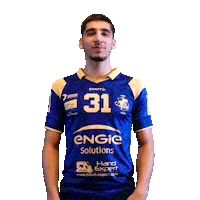 Sport Celebration Sticker by Massy Essonne Handball