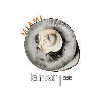 La Mar Miami Sticker by La Mar by Gastón Acurio