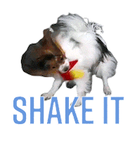 Shake It Dog Sticker by bluemonkeysvienna