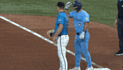 Blue Jays Davis GIF by Toronto Blue Jays