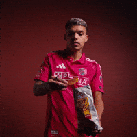 Stl Celio GIF by St. Louis CITY SC
