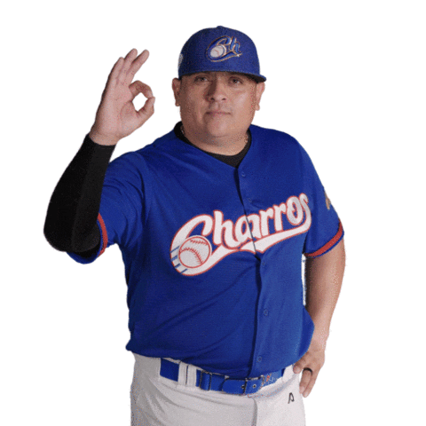 charrosjalisco giphyupload beisbol jalisco solano Sticker