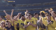 GIF by Michigan Athletics