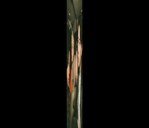Numberi Frisco GIF