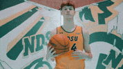 Ndsu Basketball GIF by NDSU Athletics