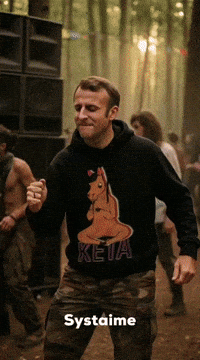 Macron Hardtek GIF by systaime