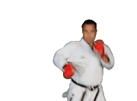 IsshoniKarate isshoni isshonikarate Sticker