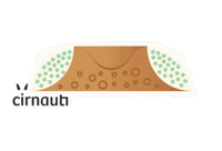 Cannolo Sticker