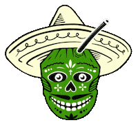 Skull Coco Sticker