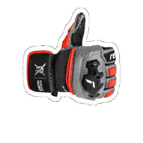 Racing Sticker by Reusch