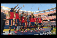 World Cup Football GIF